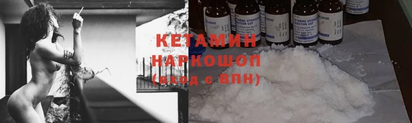 крисы Алексин
