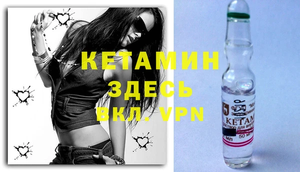 крисы Алексин